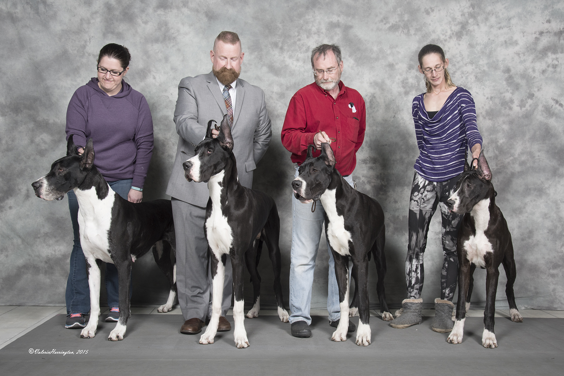 family of mantle great danes