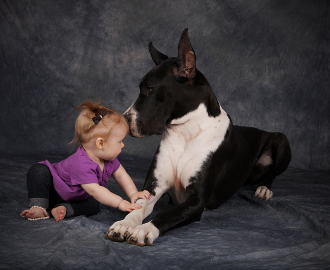 mantle great dane and baby