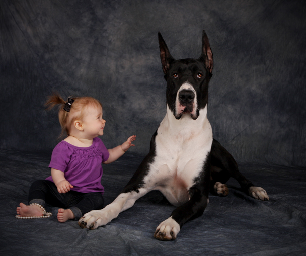 mantle great dane and small child