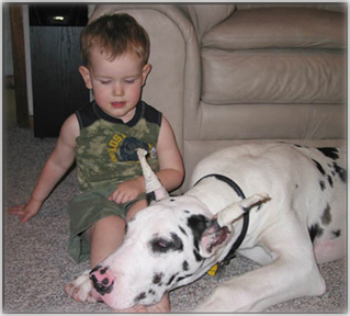 Great Dane puppy and toddler