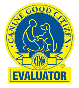 CGC Evaluator