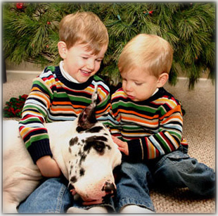kids and harl Dane
