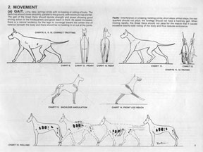 Movement & Gait