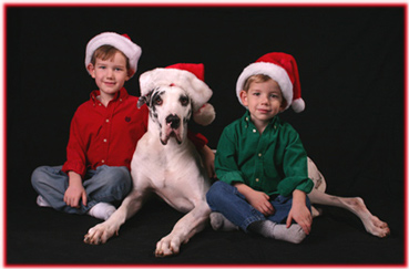 Great Dane & kids in santa hats