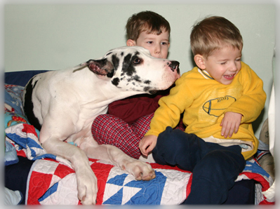Great Dane and kids