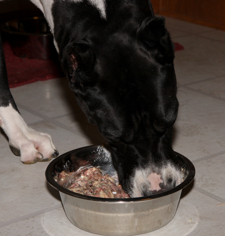 Homemade meals for great dane online