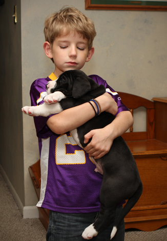 child with dane puppy