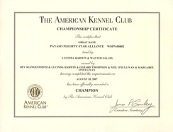 AKC Championship Certificate