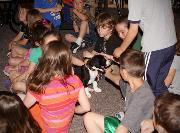 great dane puppy and kids