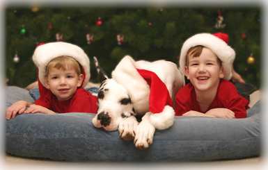 dog with kids