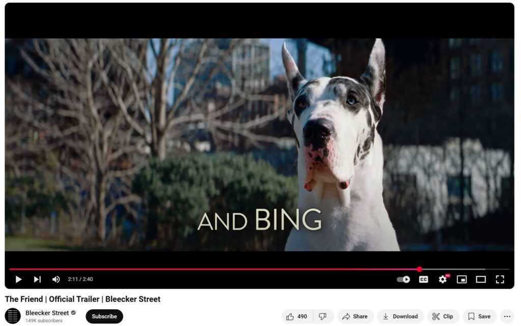 Bing the Great Dane starring in The Friend with Naomi Watts and Bill Murray